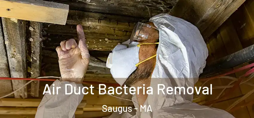  Air Duct Bacteria Removal Saugus - MA