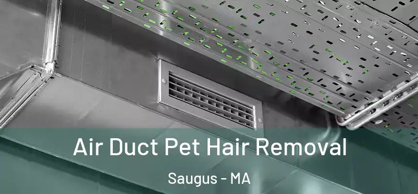  Air Duct Pet Hair Removal Saugus - MA