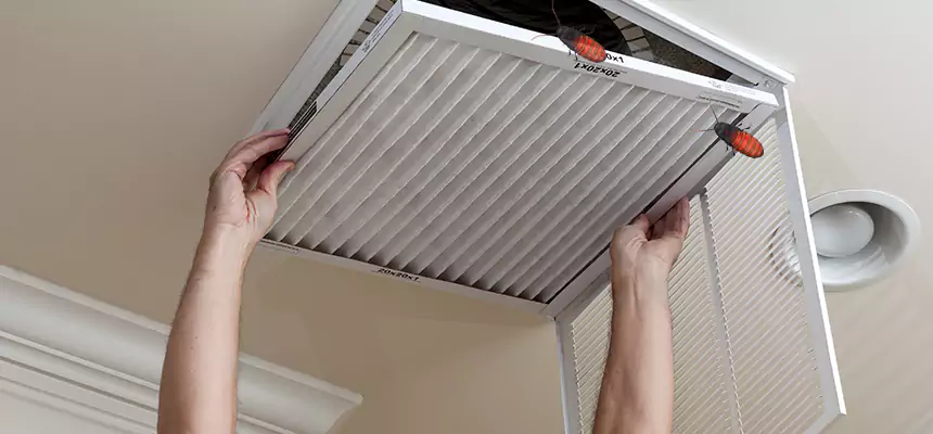 Preventive Cockroach-Proofing for Ducts in Saugus