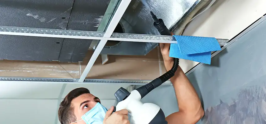 Our Air Duct Rodent Removal Services in Saugus, MA