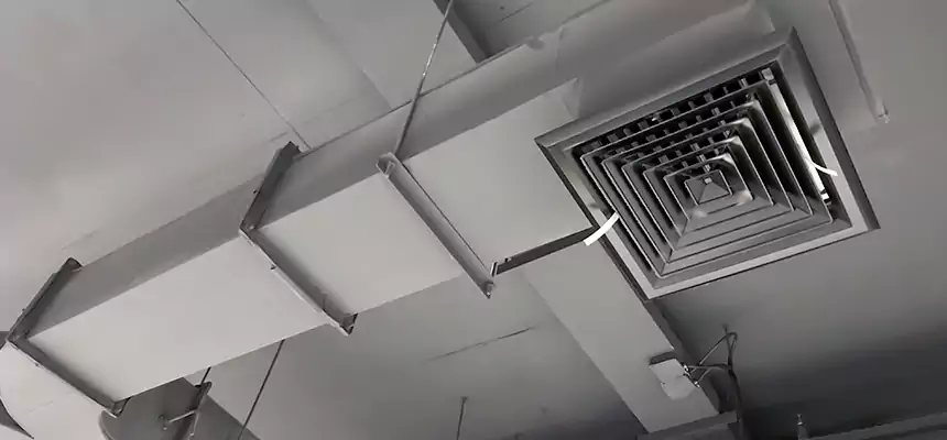 Restorative Allergy Relief Vent Cleaning – Coil, Blower & Housing Detail in Saugus