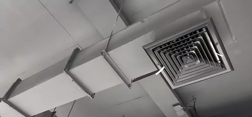 Our Rodent Droppings In Vents Services in Saugus, MA