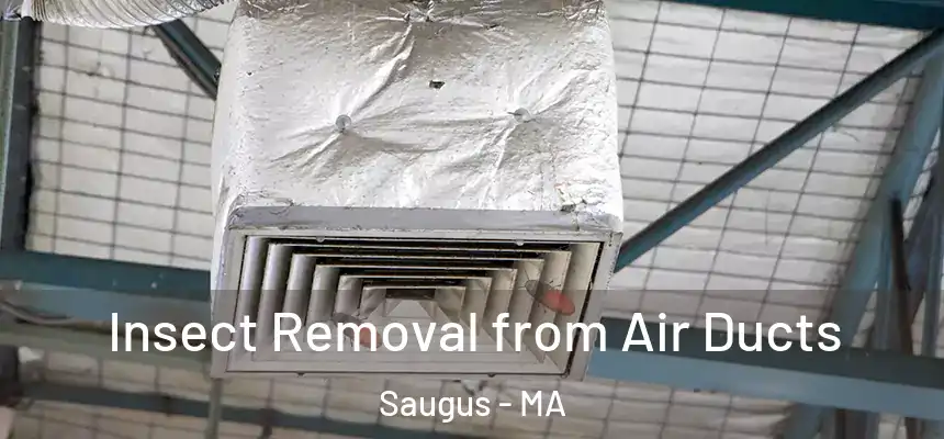 Insect Removal from Air Ducts Saugus - MA