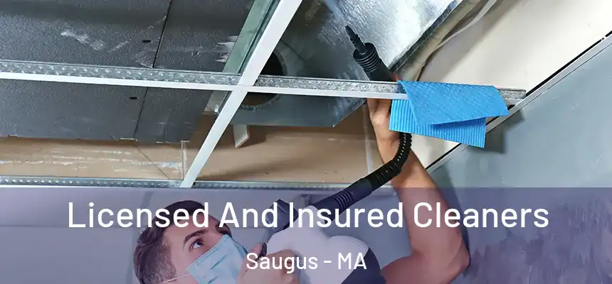  Licensed And Insured Cleaners Saugus - MA