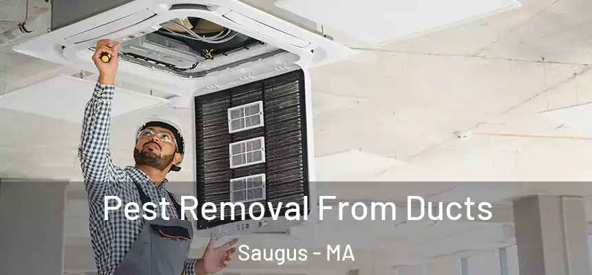 Pest Removal From Ducts Saugus - MA
