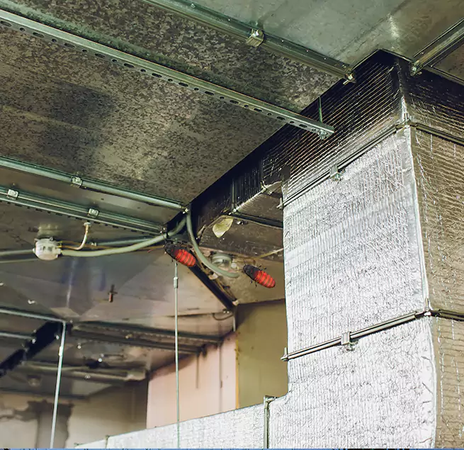 Why Homeowners & Businesses Trust Us in Saugus, MA?