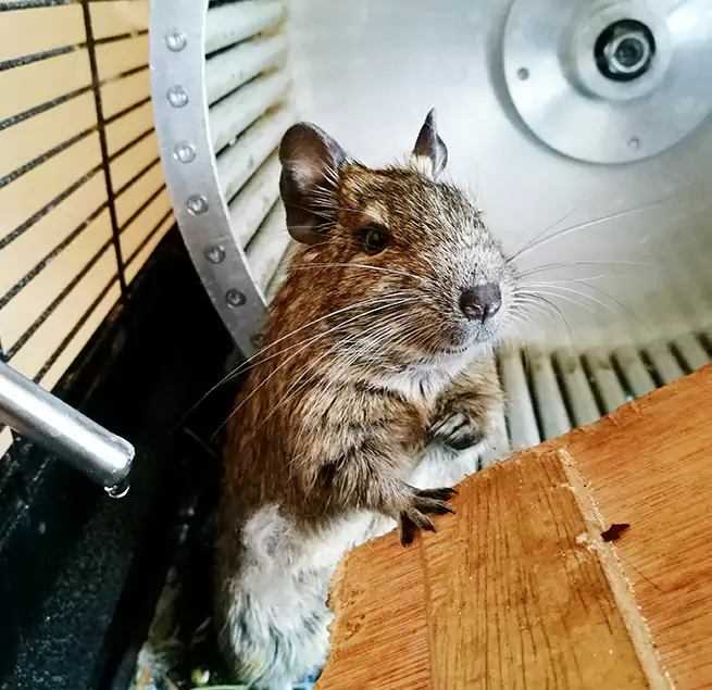 Why Homeowners & Businesses Trust Us Saugus, MA